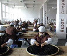 Photos of Industries